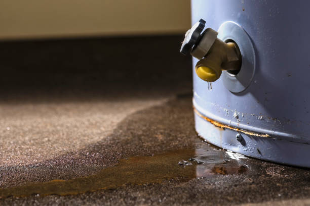 Best Water damage restoration company  in De Queen, AR
