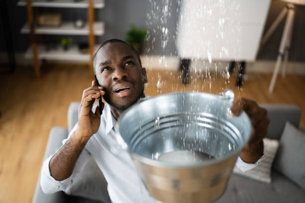 Best Local water damage restoration  in De Queen, AR