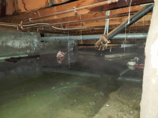 Best Water damage restoration near me  in De Queen, AR