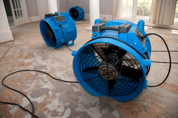 Best Water damage restoration near me  in De Queen, AR