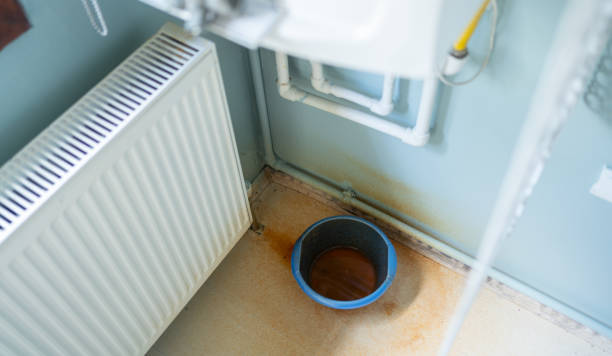Best Professional water damage repair  in De Queen, AR