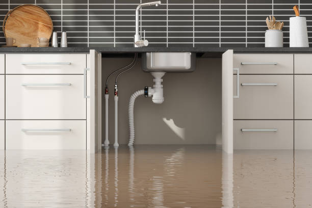 Best Emergency water damage restoration  in De Queen, AR
